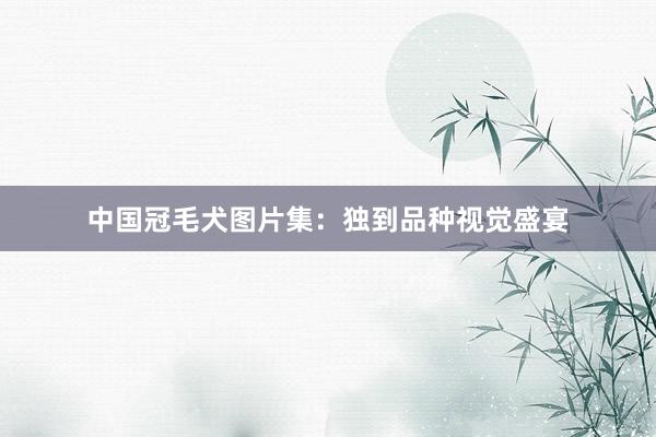 中国冠毛犬图片集：独到品种视觉盛宴