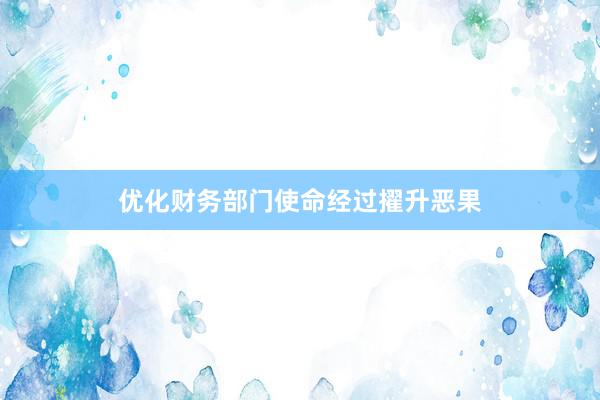 优化财务部门使命经过擢升恶果